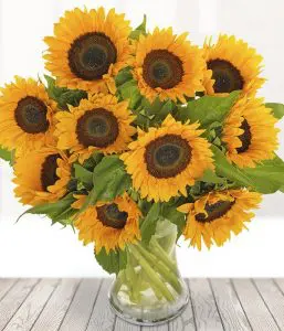 Sunflowers from Every Bloomin Thing Flowers Glasgow